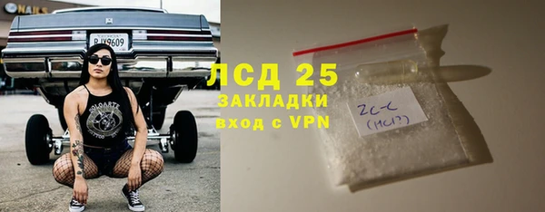 ГАЛЛЮЦИНОГЕННЫЕ ГРИБЫ Покров
