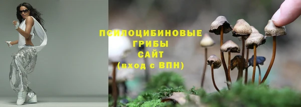 прущие грибы Покачи