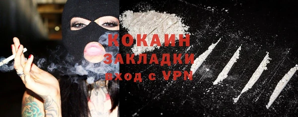 шишки Аркадак