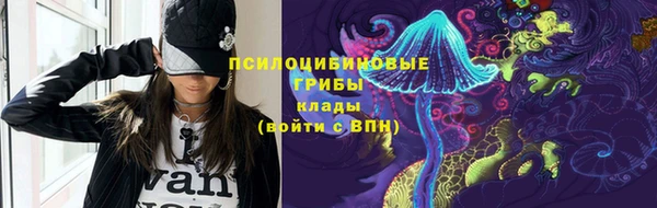 прущие грибы Покачи